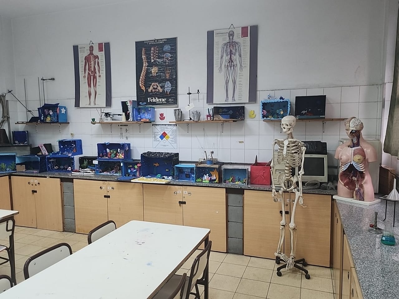 Aula de Ciencias Naturales